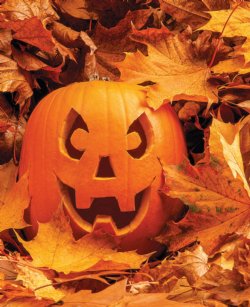 Halloween Fun!
