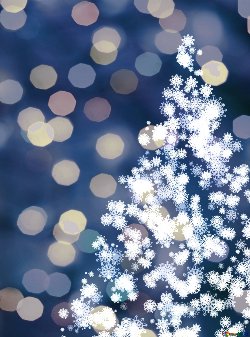 snowy tree