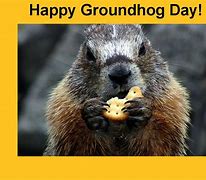 Happy Groundhog Day!